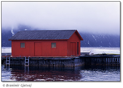 Image of a red fishing shack in fog, Norris Point (Gros Morne NP), Newfoundland and Labrador