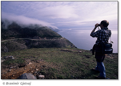 Image of a hiker on skyline trail, Cape Breton Highlands National Park, Nova Scotia