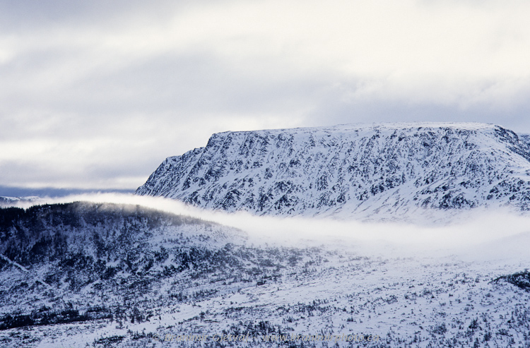 Morning fog cloaks the rugged Table Mountain in Gros Morne Tablelands, Gros Morne National Park, Newfoundland and Labrador