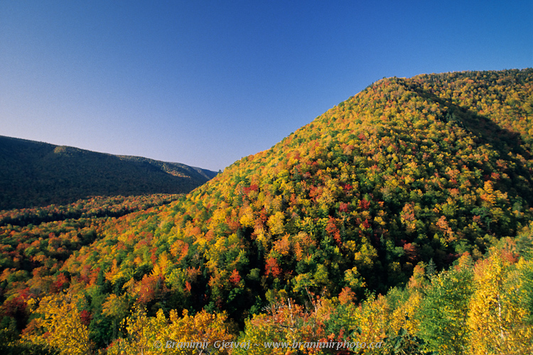 Falll colours in North Aspy Valley, Cape Breton Highlands National Park, Nova Scotia