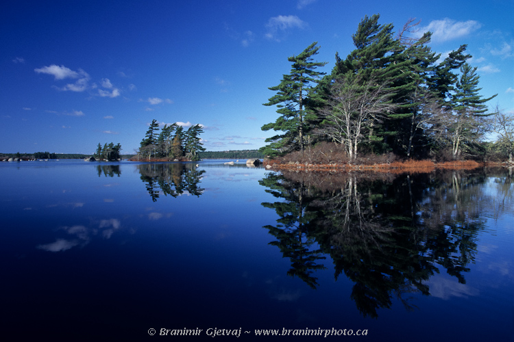 Reflection on a lake in Kejimkujik National Park, Nova Scotia