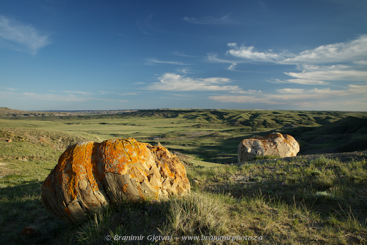 Large boulders (glacial erratics) in Grasslands National Park - West Block, Saskatchewan