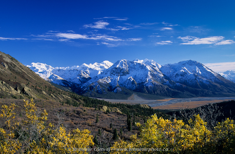 Fall colours in Slims River Valley with snow covered Vulcan Mountains, Kluane National Park and Reserve, Yukon Territory