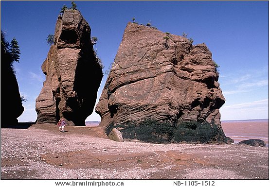 Flowerpot rock formations, Hopewell Rocks, New Brunswick