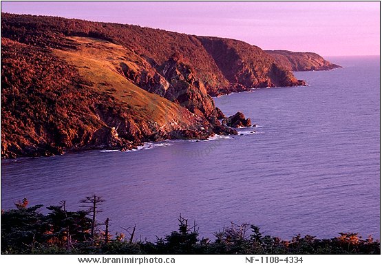 rocky shoreline at sunset, Avalon Peninsula