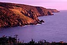 Rocky shoreline, Avalon Peninsula, Newfoundland