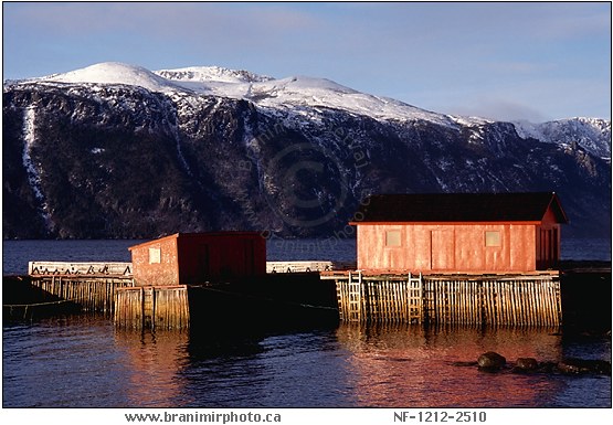 red fishing shacks at sunrise, Norris Point