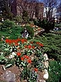 Public gardens, Halifax