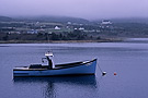 Fishing boat in morning fog, Pleasant Bay, Cape Breton