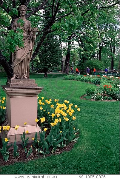 Statue in a park, Halifax