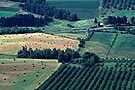 Aerial view of fields and orchard, Annapolis Valley