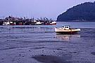 Fishing boats at low tide, Sandy Cove, Bay of Fundy