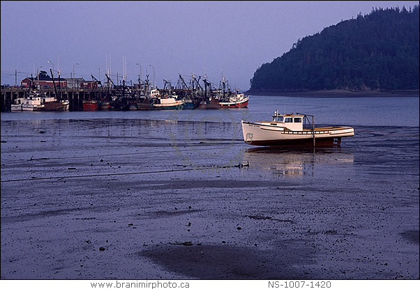 Fishing boats at low tide