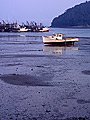 Fishing boats at low tide, Sandy Cove, Bay of Fundy