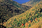 Fall colours, French Mountain, Cape Breton Highlands National Park, Nova Scotia