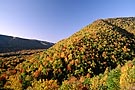 Fall colours, North Aspy Valley, Cape Breton Highlands National Park, Nova Scotia