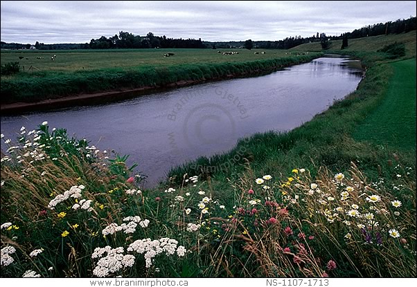 Farm fields along Stewiacke River