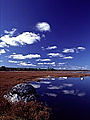 Shelbourne River, Kejimkujik National Park, Nova Scotia