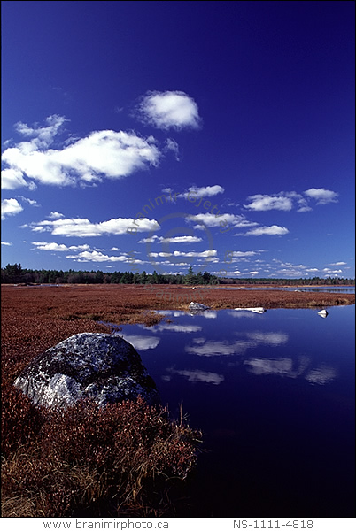 Shelbourne River, Nova Scotia