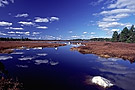 Shelbourne River, Kejimkujik National Park, Nova Scotia