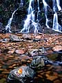 Maple leaf and waterfall in Autumn, Wentworth Valley, Nova Scotia