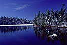 Snow covered trees reflecting in lake, Nova Scotia