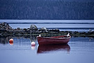 Red fishing boat and gulls, Shad Bay, Nova Scotia