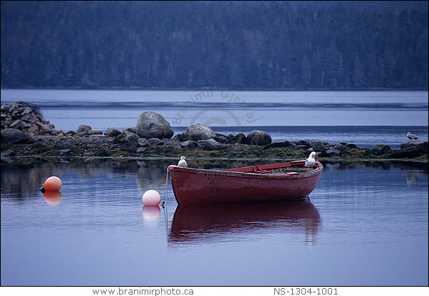 Read boat and gulls