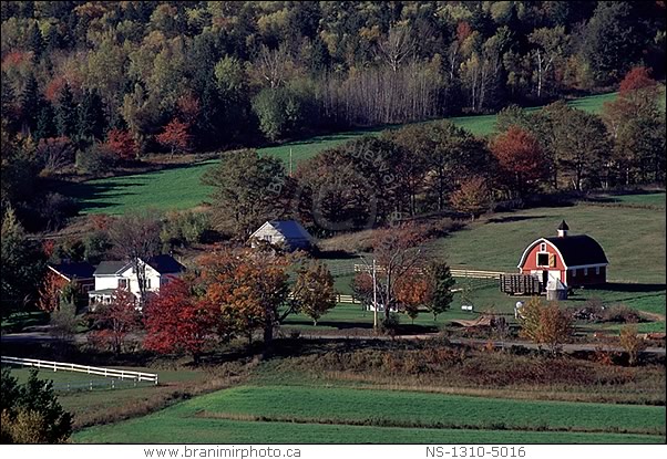 Farm in Annapolis Valley