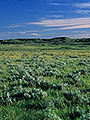 Grasslands National Park, West Block