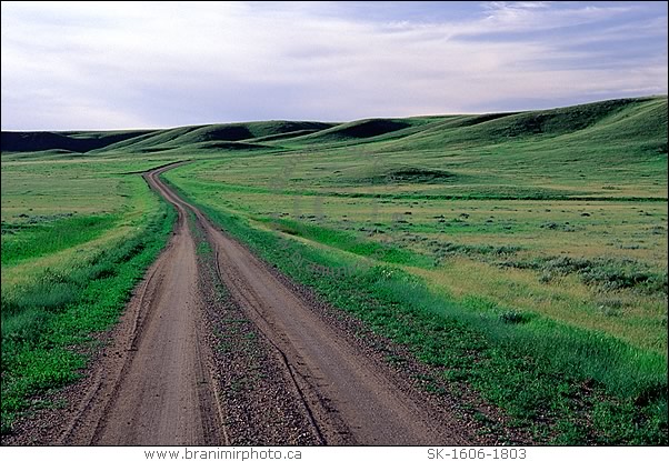 Grasslands National Park