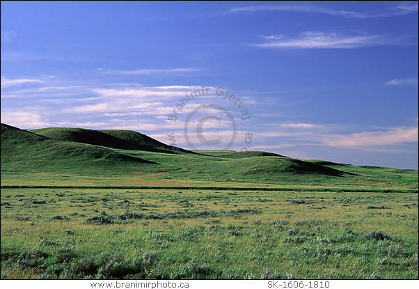 Grasslands National Park, Saskatchewan