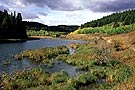 Cypress Hills, Saskatchewan