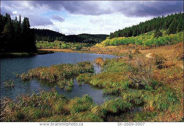 Cypress Hills Interprovincial Park, Lone Pine Creek