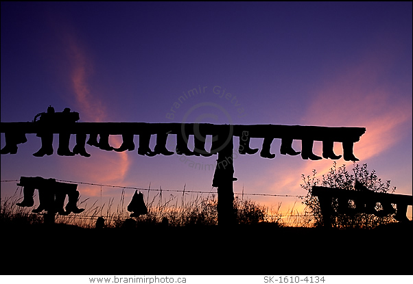 Old cowboy boot fence at sunrise, Great Sand Hills