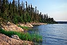 Evergreen trees by rocky shoreline, Churchill River