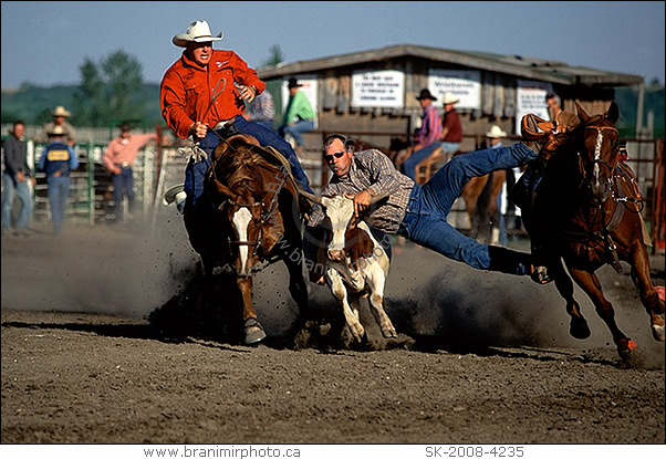 rodeo, steer wrestling