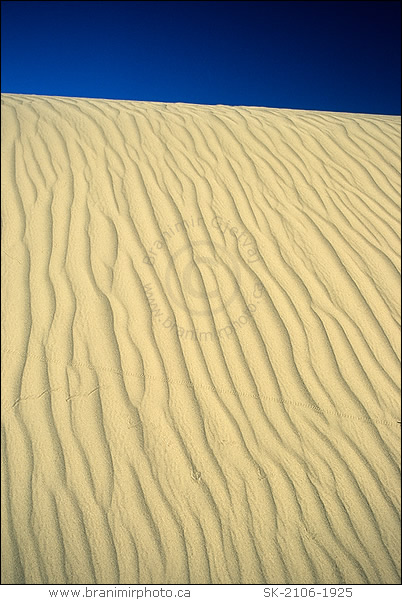 Pattern in sand, Great Sand Hills, Saskatchewan