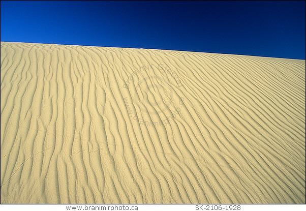 Pattern in sand, Great Sand Hills, Saskatchewan