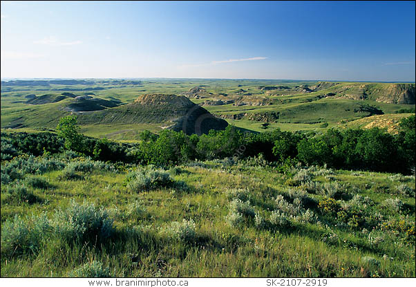 Kildeer Badlands, Grasslands National Park, Saskatchewan