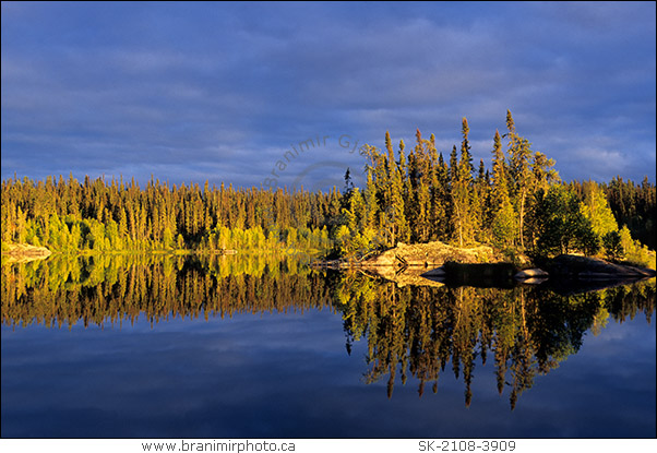 Evergreen trees reflecting in lake at sunset. Hutchings Lake (Churchill River system), Saskatchewan, Canada