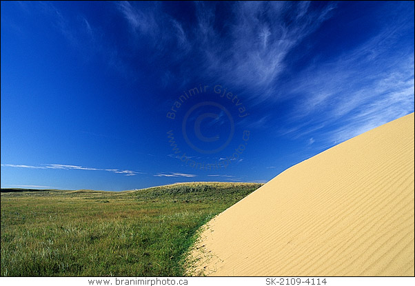 Prairie landscape with sand dunes, Great Sand Hills, Saskatchewan