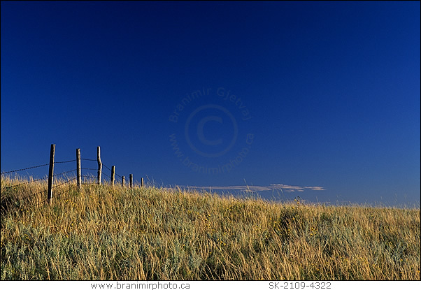 Prairie with barb wire fence, Great Sand Hills, Saskatchewan