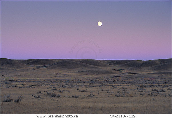 moonrise over prairie, Grasslands National Park