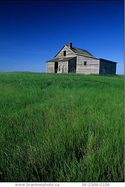 Abandoned farmhouse, Great Sand Hills, Saskatchewan