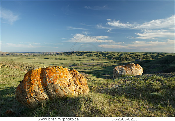 Glacial eratics, Grasslands NP, Saskatchewan