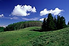 Cypress Hills, Saskatchewan