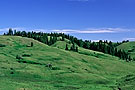 Cypress Hills, Saskatchewan