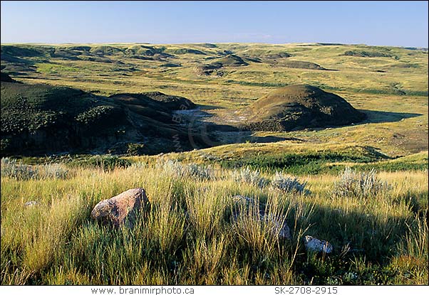 Kildeer Badlands, Grasslands National Park