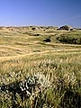 Badlands, Grasslands National Park, East Block